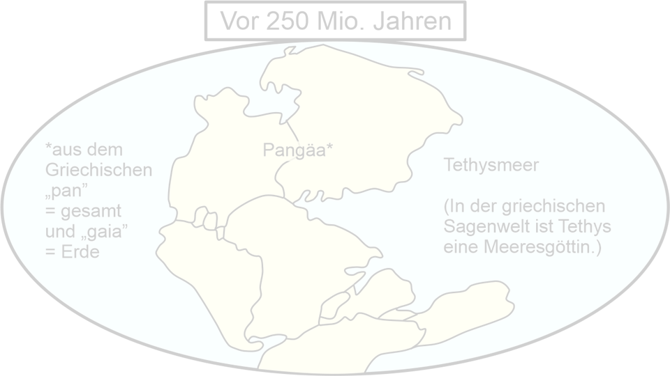 Endogene Kräfte Kurzvorschau